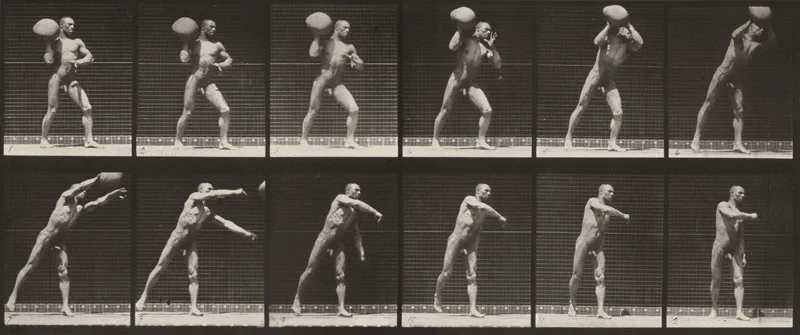 Plate Number 311. Heaving a 75-lb. rock Wall Art by Eadweard Muybridge - High-Resolution Digital Print