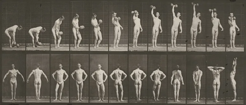 Plate Number 321. A: Lifting a 50-lb. dumbbell. B: Posing Wall Art by Eadweard Muybridge - High-Resolution Digital Print