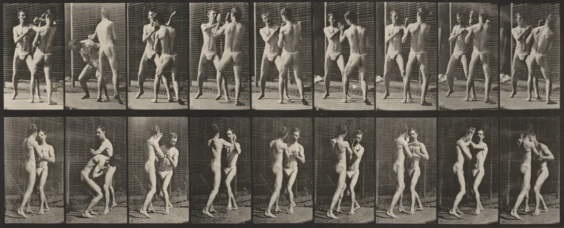 Plate Number 337. Boxing, open hand Wall Art by Eadweard Muybridge - High-Resolution Digital Print