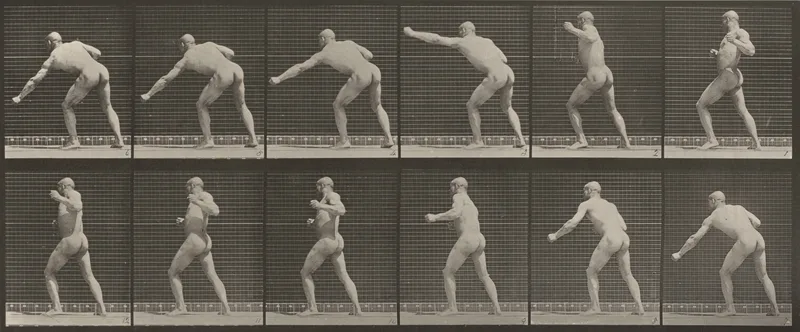 Plate Number 343. Striking a blow with left hand Wall Art by Eadweard Muybridge - High-Resolution Digital Print
