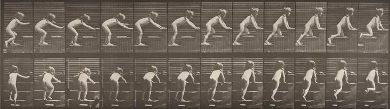 Plate Number 480. Child walking and crawling up stairs Wall Art by Eadweard Muybridge - High-Resolution Digital Print