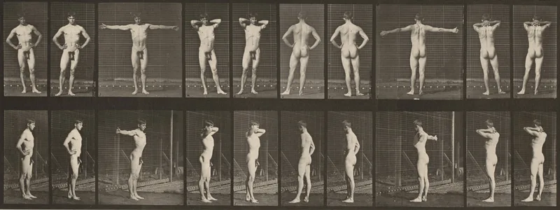 Plate Number 529. Various poses Wall Art by Eadweard Muybridge - High-Resolution Digital Print