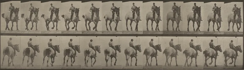 Plate Number 600. "Dusel" trotting, bareback Wall Art by Eadweard Muybridge - High-Resolution Digital Print