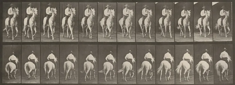 Plate Number 604. "Elberon" trotting, saddled Wall Art by Eadweard Muybridge - High-Resolution Digital Print
