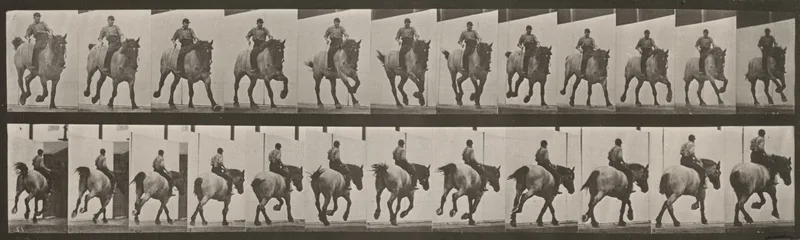 Plate Number 629. "Hansel" galloping, bareback Wall Art by Eadweard Muybridge - High-Resolution Digital Print