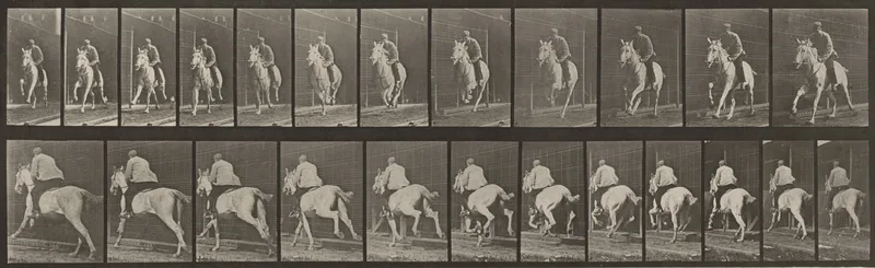 Plate Number 630. "Pandora" galloping, saddled Wall Art by Eadweard Muybridge - High-Resolution Digital Print
