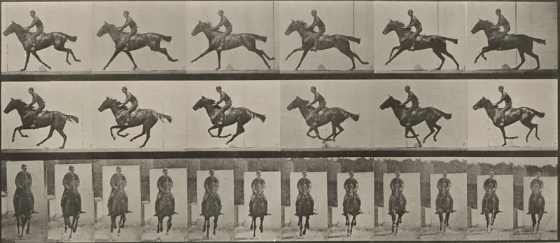 Plate Number 631. "Bouquet" galloping, saddled Wall Art by Eadweard Muybridge - High-Resolution Digital Print
