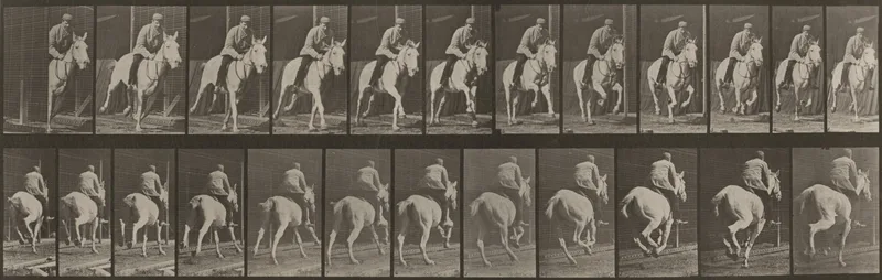 Plate Number 635. "Pandora" galloping, saddled Wall Art by Eadweard Muybridge - High-Resolution Digital Print