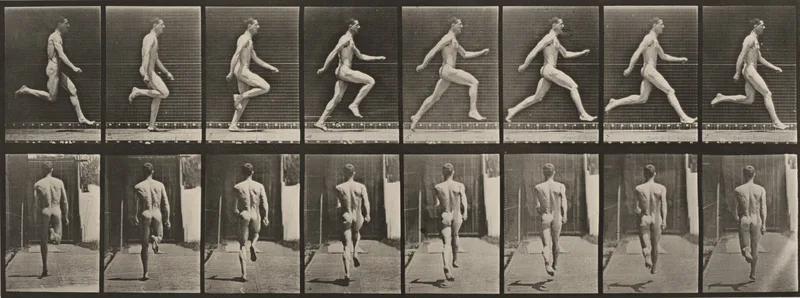 Plate Number 65. Running at full speed Wall Art by Eadweard Muybridge - High-Resolution Digital Print