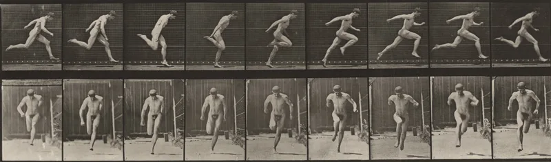 Plate Number 68. Running Wall Art by Eadweard Muybridge - High-Resolution Digital Print