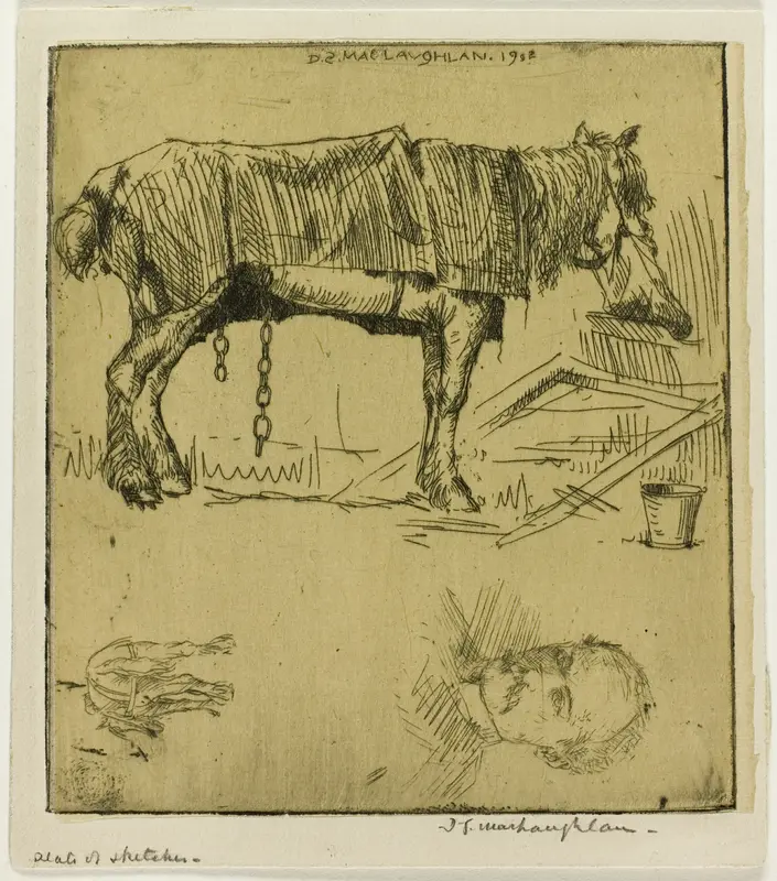 Plate of Sketches