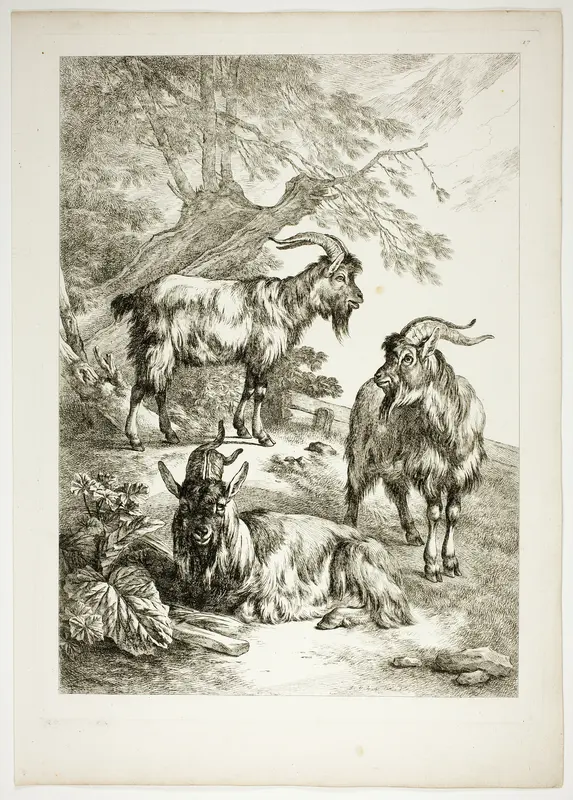 Plate Seventeen of 38 from Oeuvres de J. B. Huet Wall Art by Jean Baptiste Huet - High-Resolution Digital Print