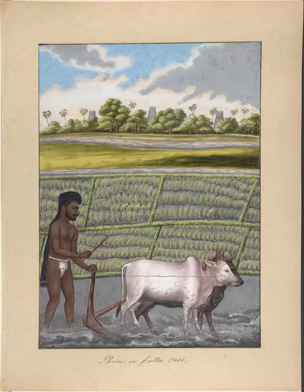 Plower in Pulla Caste, from Indian Trades and Castes Wall Art by Anonymous, Indian, 19th century - High-Resolution Digital Print