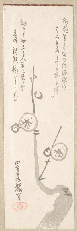 Plum Blossoms