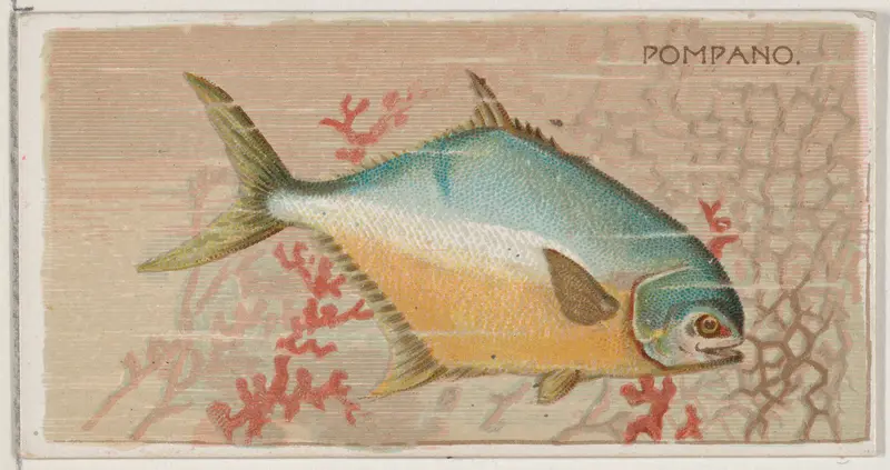 Pompano, from the series Fishers and Fish (N74) for Duke brand cigarettes Wall Art by Knapp & Company - High-Resolution Digital Print