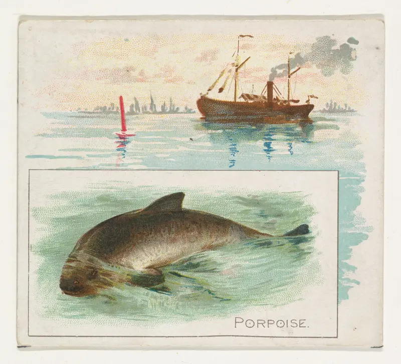 Porpoise, from Fish from American Waters series (N39) for Allen & Ginter Cigarettes Wall Art by Allen & Ginter - High-Resolution Digital Print