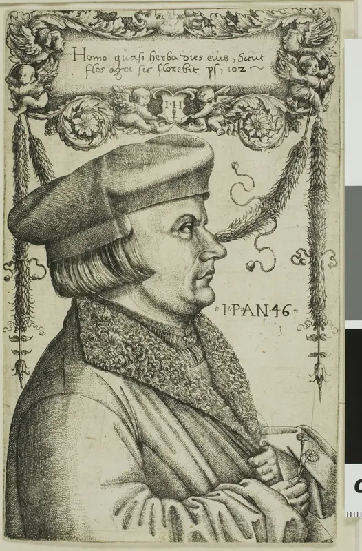 Portrait of a Man Wall Art by Hieronymous Hopfer - High-Resolution Digital Print