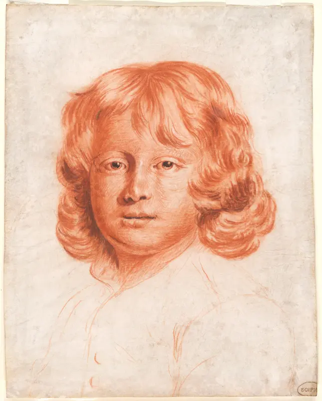 Portrait of a Young Boy Wall Art by Charles Beale - High-Resolution Digital Print