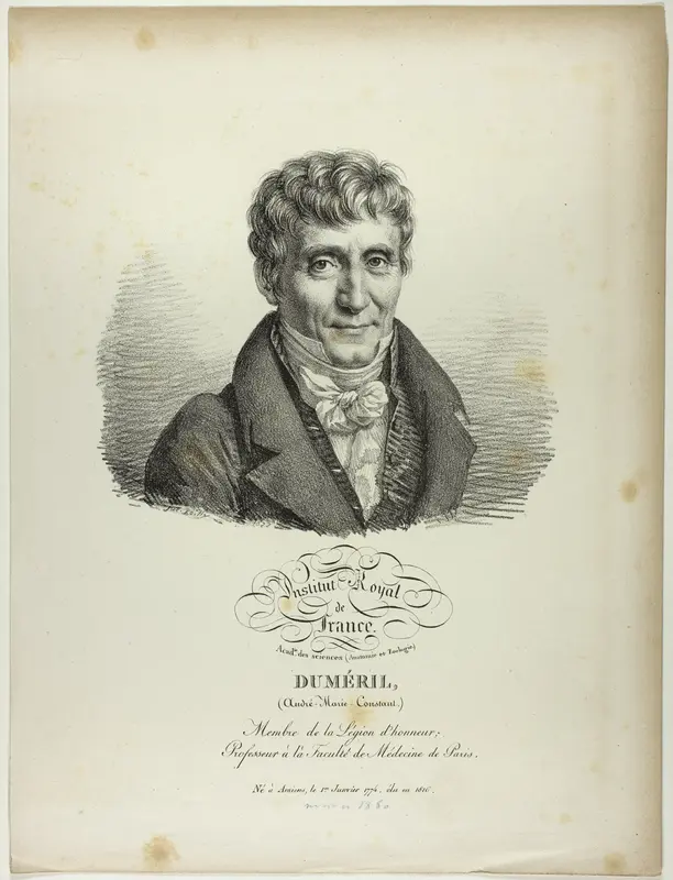 Portrait of André-Marie-Constant Duméril Wall Art by Jules Boilly - High-Resolution Digital Print
