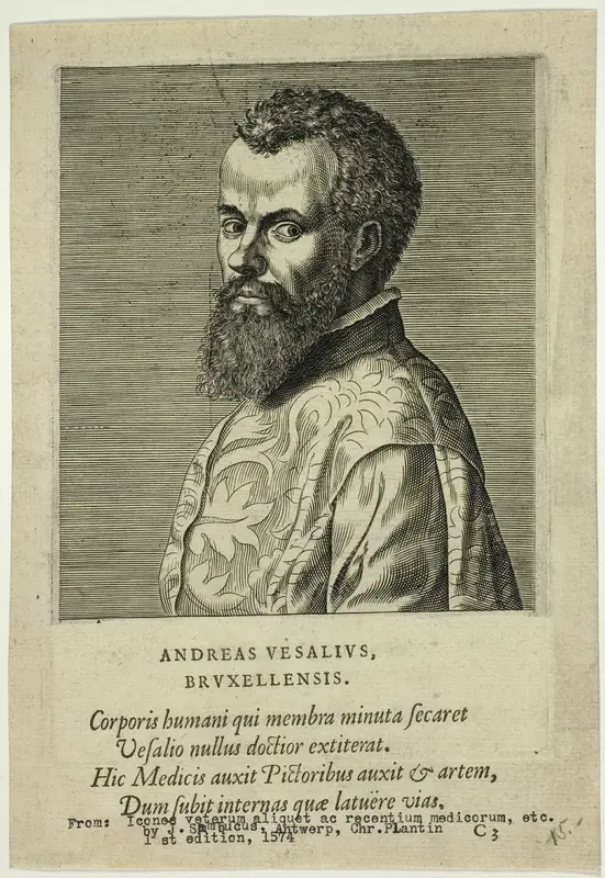Portrait of Doctor Andreas Vesalius of Brussels Wall Art by Johannes Sambucus - High-Resolution Digital Print