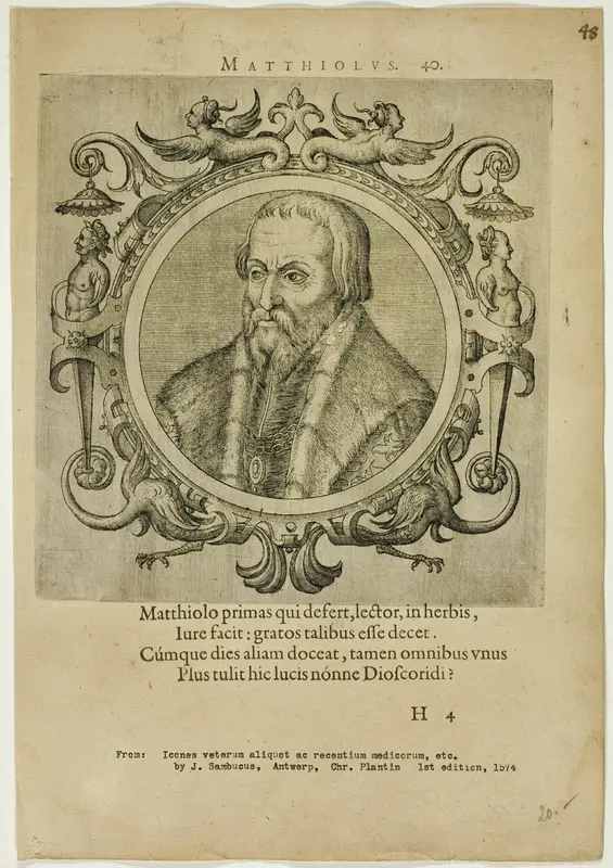 Portrait of Matthiolus Wall Art by Johannes Sambucus - High-Resolution Digital Print
