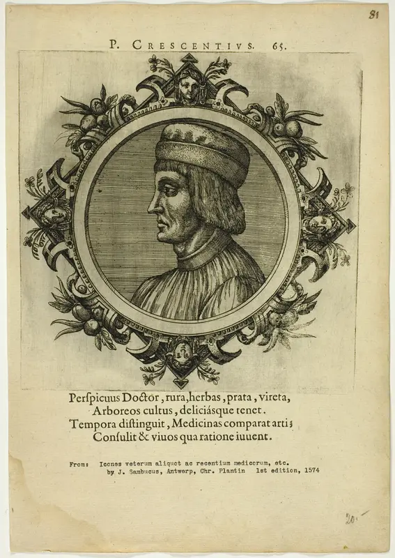 Portrait of P. Crescentius Wall Art by Johannes Sambucus - High-Resolution Digital Print