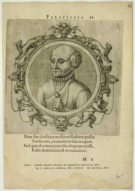 Portrait of Paracelsus Wall Art by Johannes Sambucus - High-Resolution Digital Print