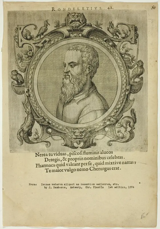 Portrait of Rondeletius Wall Art by Johannes Sambucus - High-Resolution Digital Print