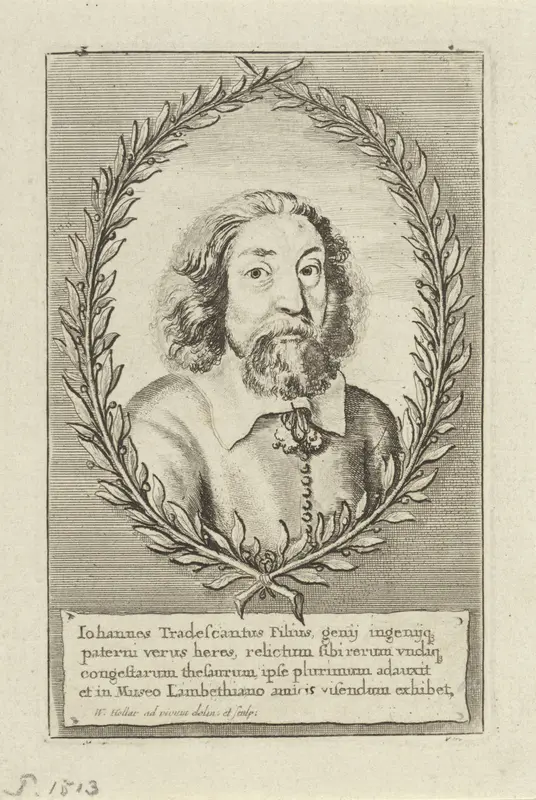 Portret van John Tradescant de Jonge Wall Art by Unknown - High-Resolution Digital Print