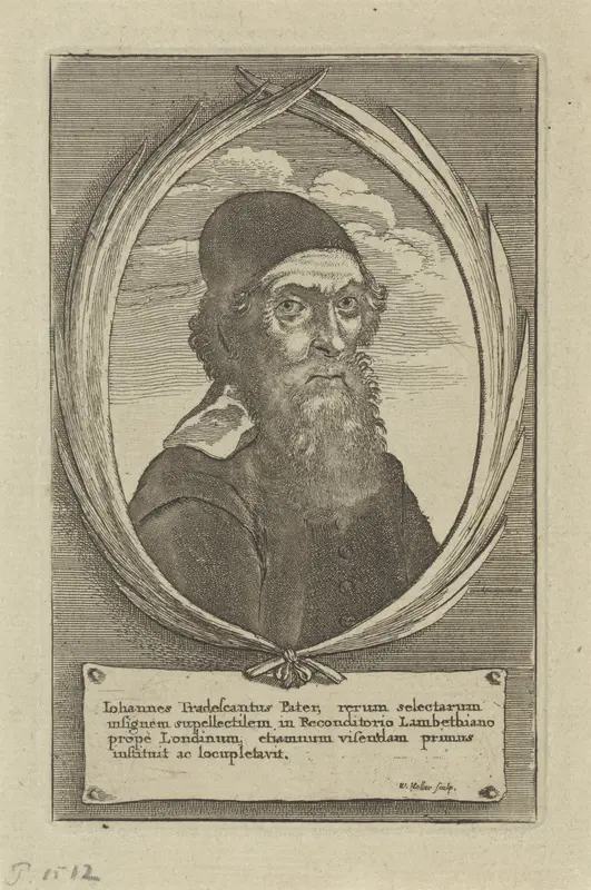 Portret van John Tradescant de Oude Wall Art by Unknown - High-Resolution Digital Print