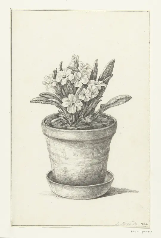 Potplant Wall Art by Jean Bernard - High-Resolution Digital Print