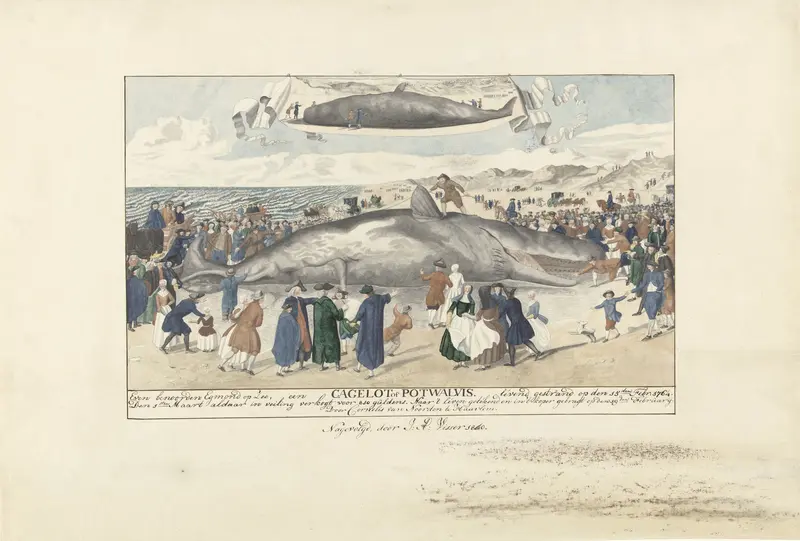 Potvis gestrand bij Egmond aan Zee, 1764 Wall Art by Unknown - High-Resolution Digital Print
