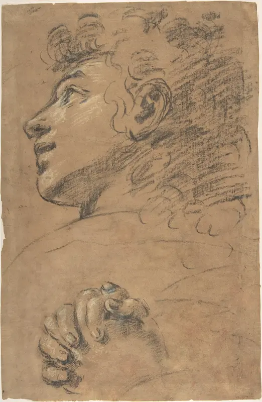 Profile Head of a Youth Looking to Upper Left, and Study of Clasped Hands Wall Art by Giacomo Cavedone - High-Resolution Digital Print