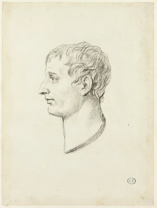 Profile of Napoleon Wall Art by Jacques Louis David - High-Resolution Digital Print