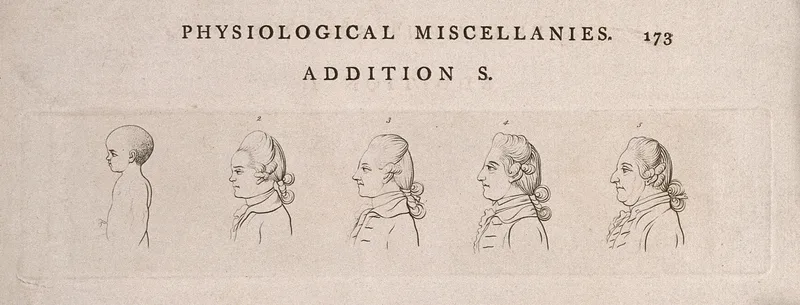 Progression of a man through the ages of infancy to the age of fifty Wall Art by Johann Kaspar Lavater - High-Resolution Digital Print