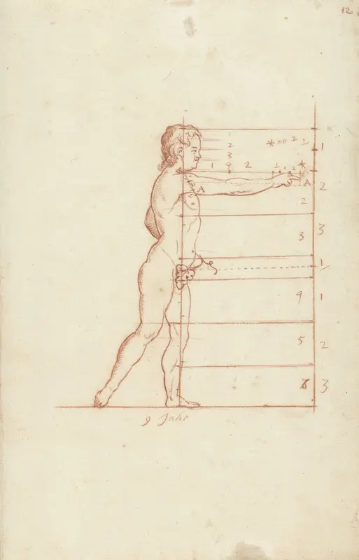Proportiestudie van een jongen van negen jaar, zijaanzicht Wall Art by anonymous - High-Resolution Digital Print