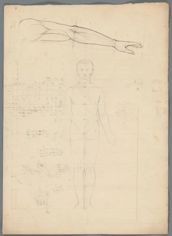 Proportiestudie van een man en studie van een arm Wall Art by Unknown - High-Resolution Digital Print
