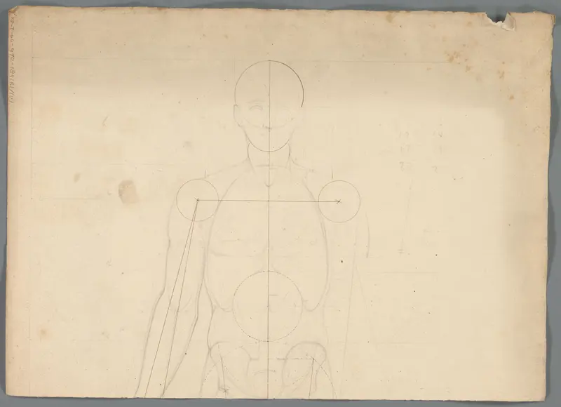 Proportiestudie van het bovenlichaam van een man Wall Art by Unknown - High-Resolution Digital Print