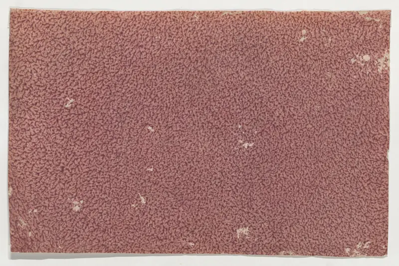 Purple red paste paper Wall Art by Anonymous - High-Resolution Digital Print