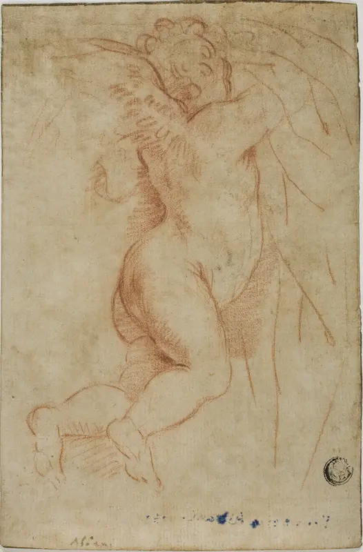 Putto Lifting Curtain (recto); Infant St. John (verso) Wall Art by Style of Mattia Preti - High-Resolution Digital Print