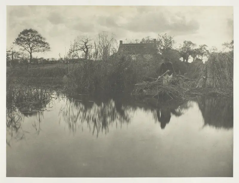 Quanting the Gladdon