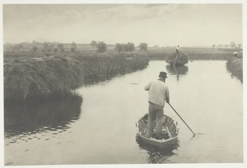 Quanting the Marsh Hay