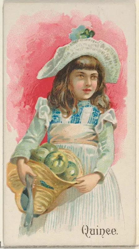Quince, from the Fruits series (N12) for Allen & Ginter Cigarettes Brands Wall Art by Allen & Ginter - High-Resolution Digital Print