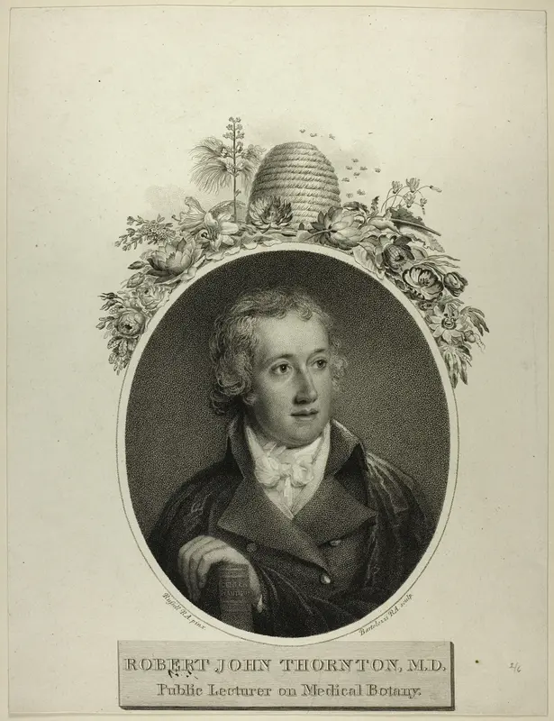 R. J. Thornton Wall Art by Francesco Bartolozzi - High-Resolution Digital Print