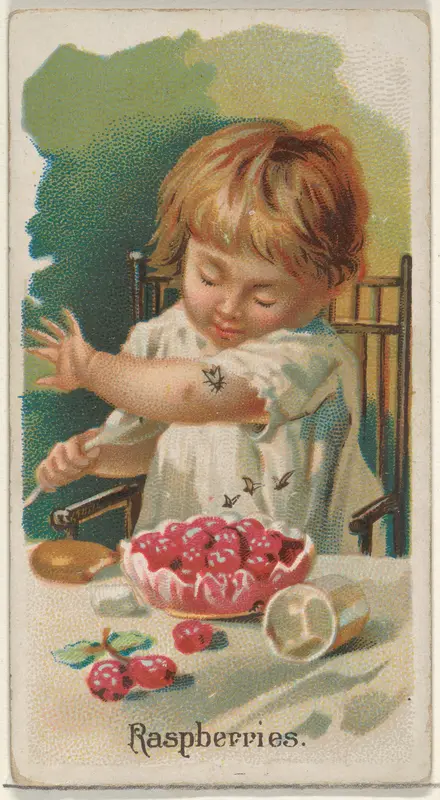 Raspberries, from the Fruits series (N12) for Allen & Ginter Cigarettes Brands Wall Art by Allen & Ginter - High-Resolution Digital Print
