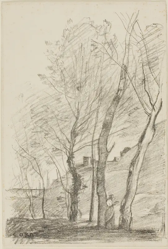 Reading Beneath the Trees