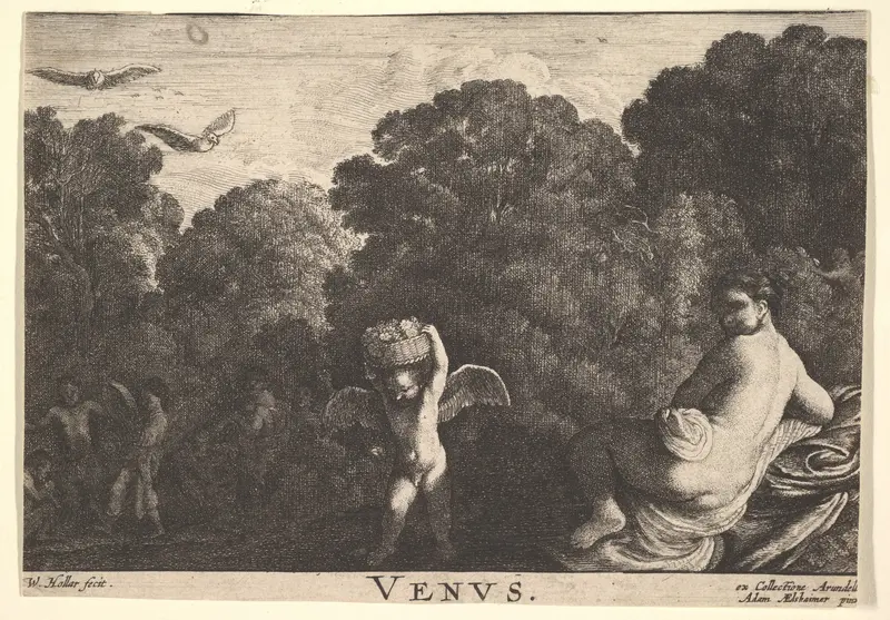 Realm of Venus Wall Art by Wenceslaus Hollar - High-Resolution Digital Print