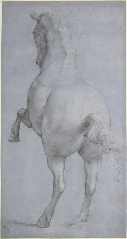 Rearing Horse in Rear Three-Quarter View Wall Art by Anonymous, Italian, Florentine, 16th century - High-Resolution Digital Print