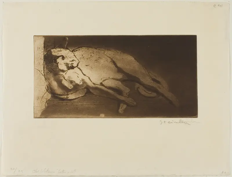 Reclining Cat Stretched Out from Left to Right