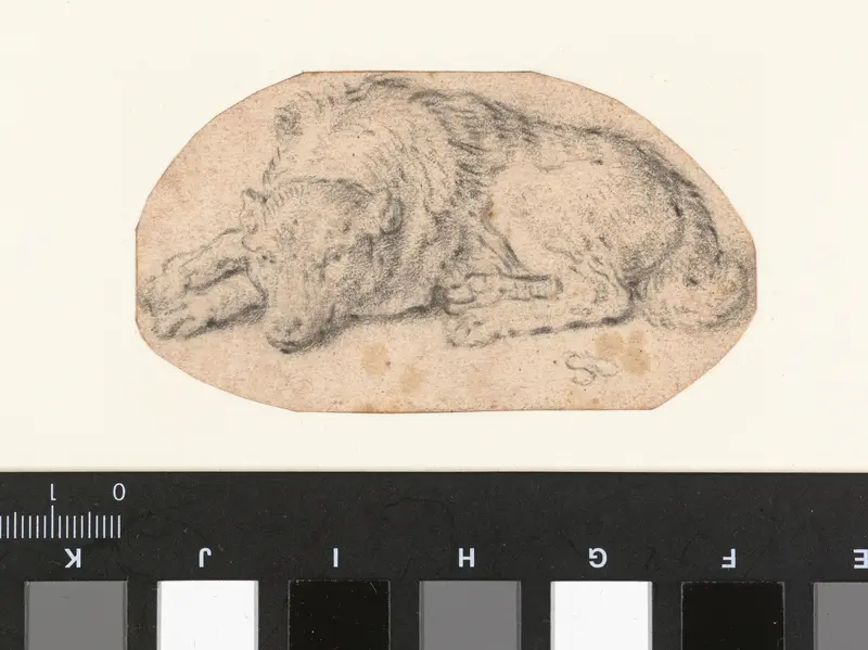 Reclining Dog, Turned to the Left Wall Art by Unknown - High-Resolution Digital Print